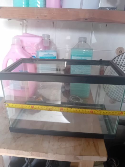 Aquario  pequeno
