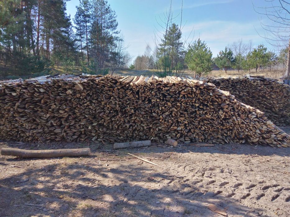 Oszasty sosnowe.. Więcej inf pod nr 6047siedem861osiem