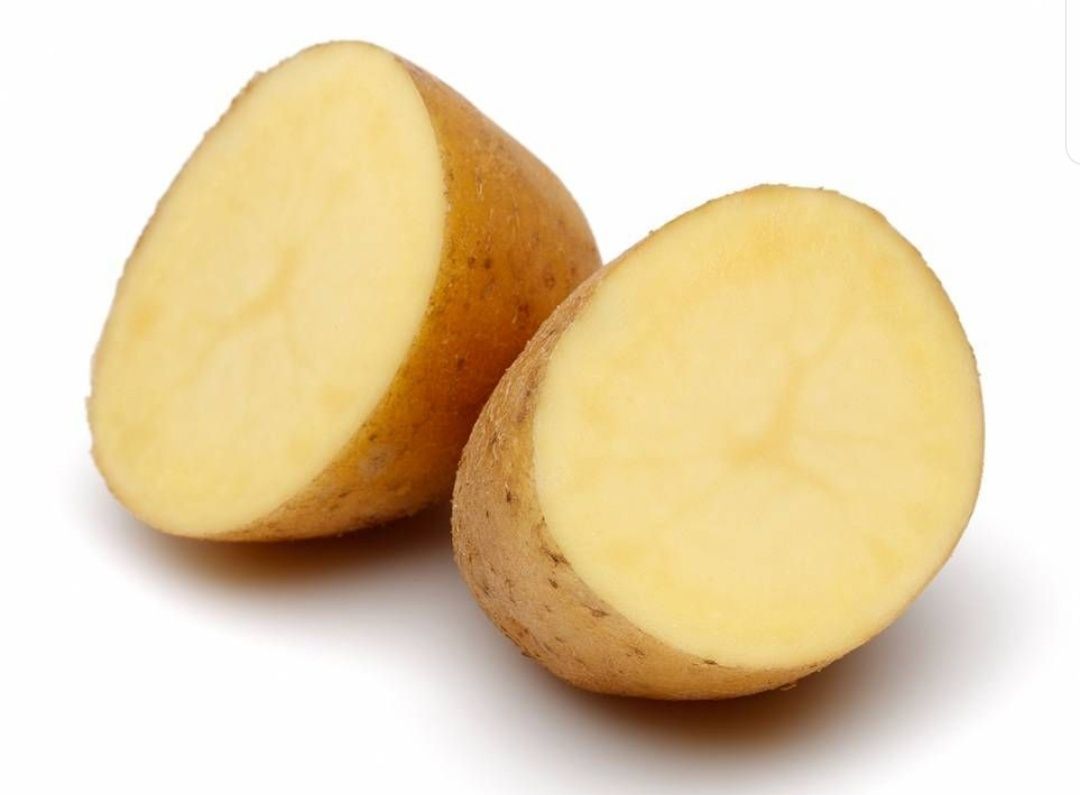 Ziemniaki Jadalne (Vineta Gala)