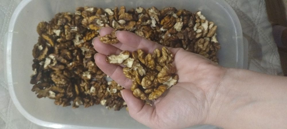 Orzechy włoskie łuskane