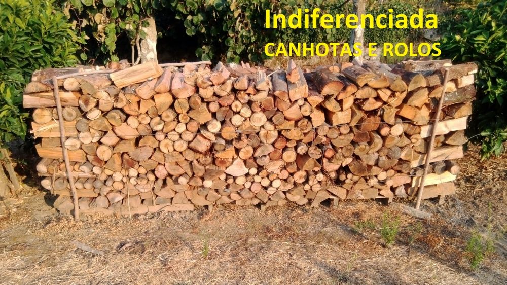 Lenha seca e rachada no Verão