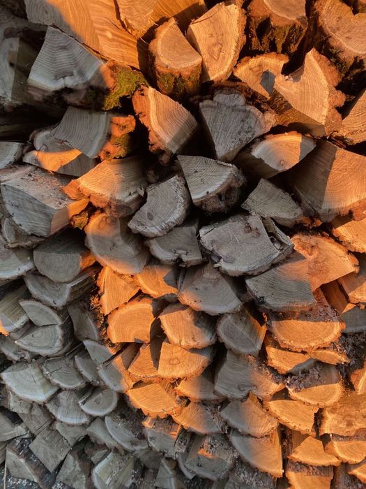 Супер пропозиція!Дрова з доставкою:дуб,береза,вільха,сосна