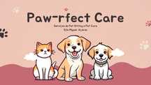 Pet sitting e pet walking
