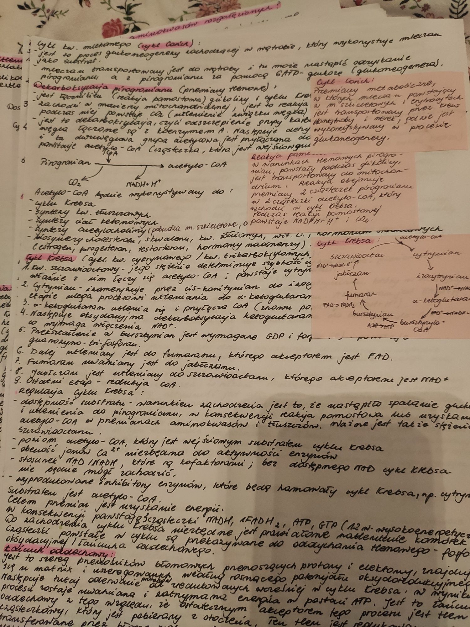 Biochemia notatki na studia
