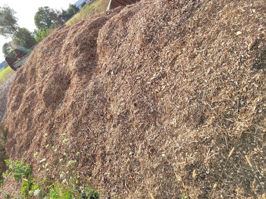 Zrębka Liściasto-Iglasta,zrębka liściasta,zrębka iglasta,zrębka agro