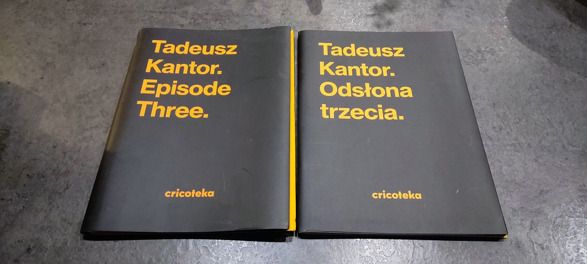 Tadeusz Kantor Odsłona trzecia Episode Three Cricoteka