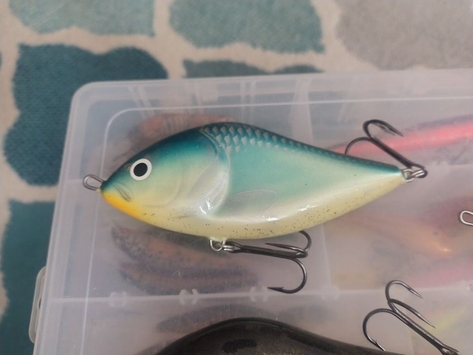 Salmo Slider 12 i 10 cm