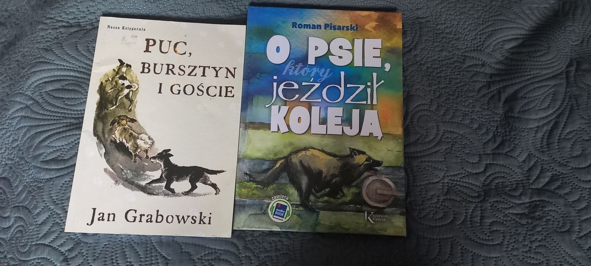 O psie który jeździł koleją + Puc Bursztyn i goście