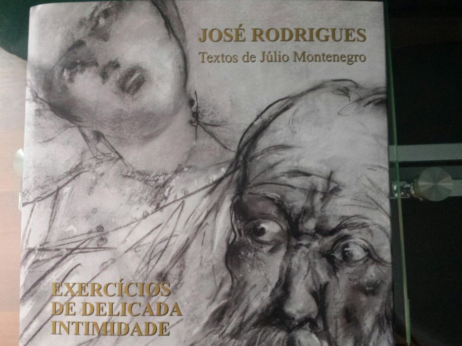Livro José Rodrigues, Exercícios da Delicada Intimidade
