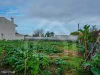 Terreno em Arazede