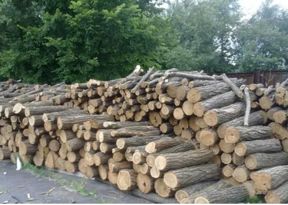 Продам дрова .Дуб,ясен,акація.