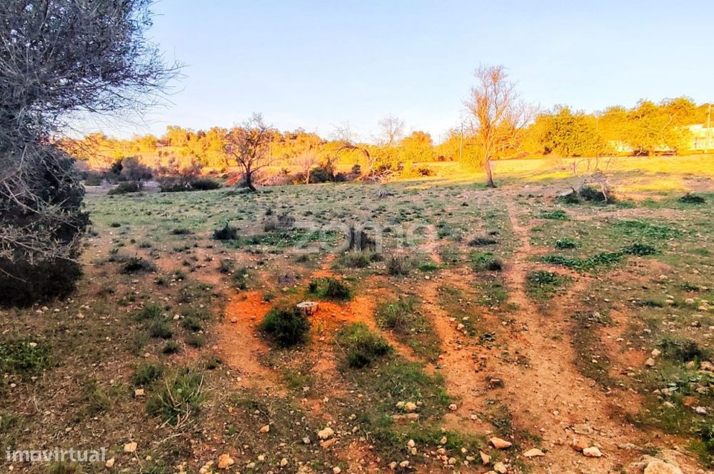 Terreno Rústico Tunes - Silves