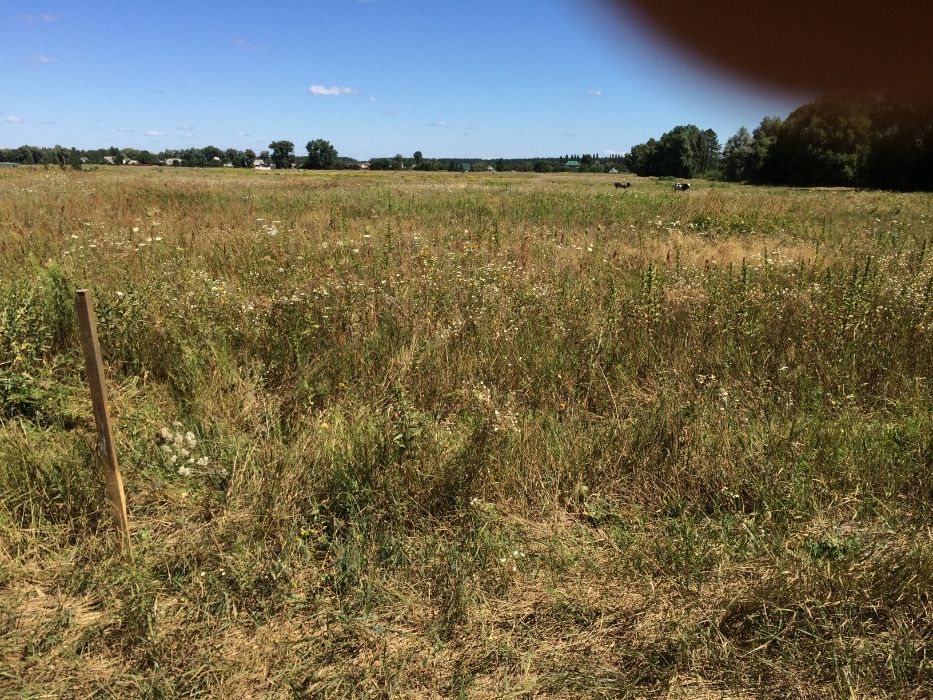 Земельна ділянка в с. Микуличі, Київська область