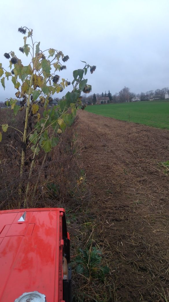 Glebogryzarka separacyjna,kosiarka bijakowa 1 zł/m2