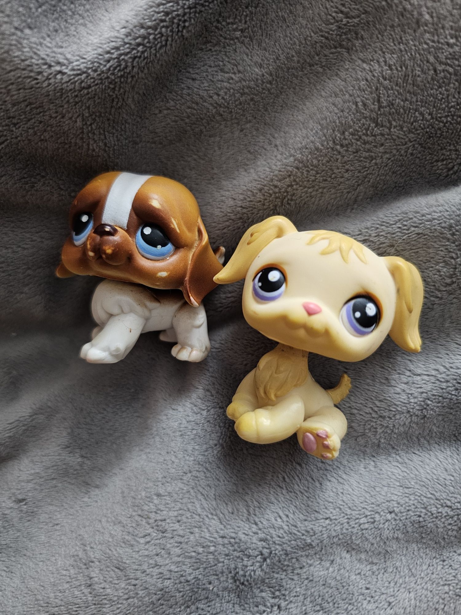 Littlest pet shop pies bernardyn