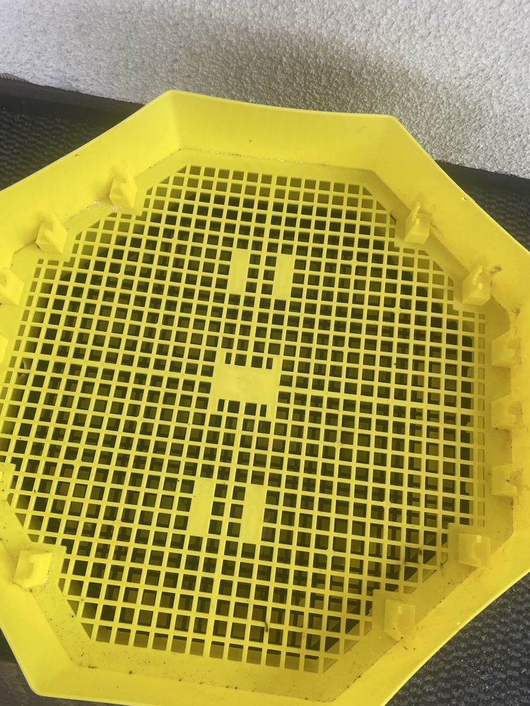 Inkubator cleo 5