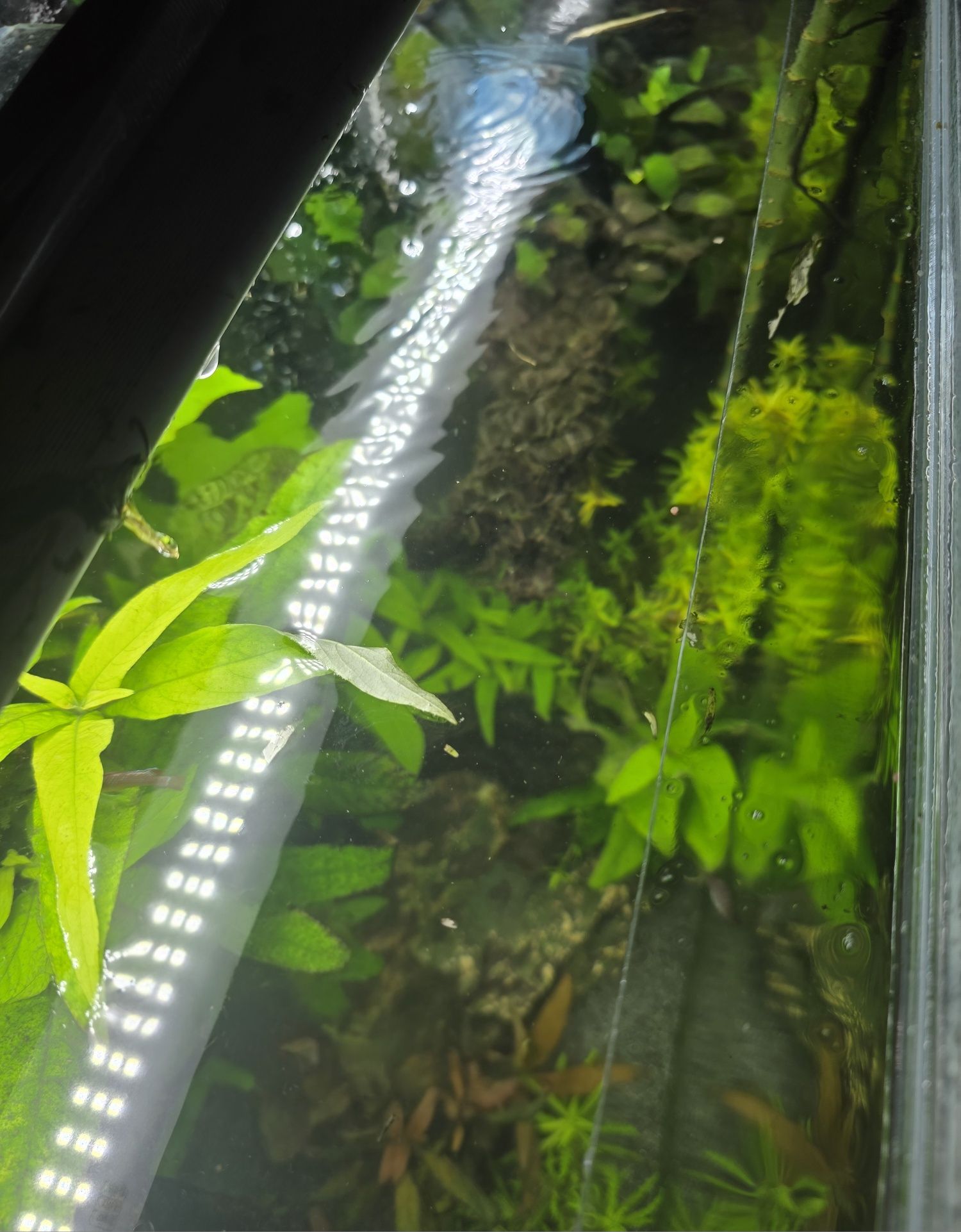 Akwarium 90L Nietypowy Rozmiar