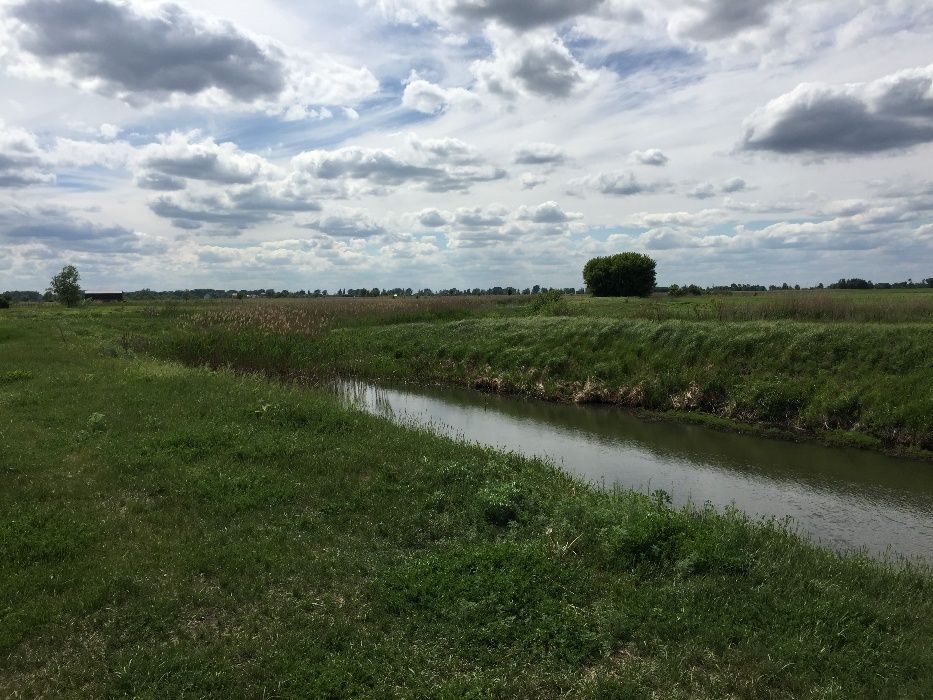 Продаю участок в с. Селичёвка Барышевский район Киевская область.