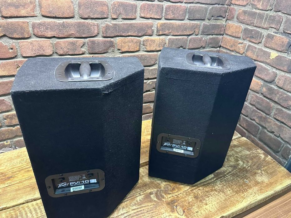 Kolumny Estradowe Peavey PVi10