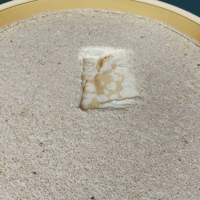 Świeży miód rzepakowy z własnej pasieki 2025 HURTOWO w beczkach, HURT