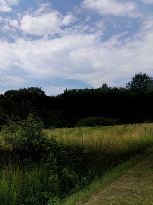 działka 47 arów z warunkami zabudowy pod lasem