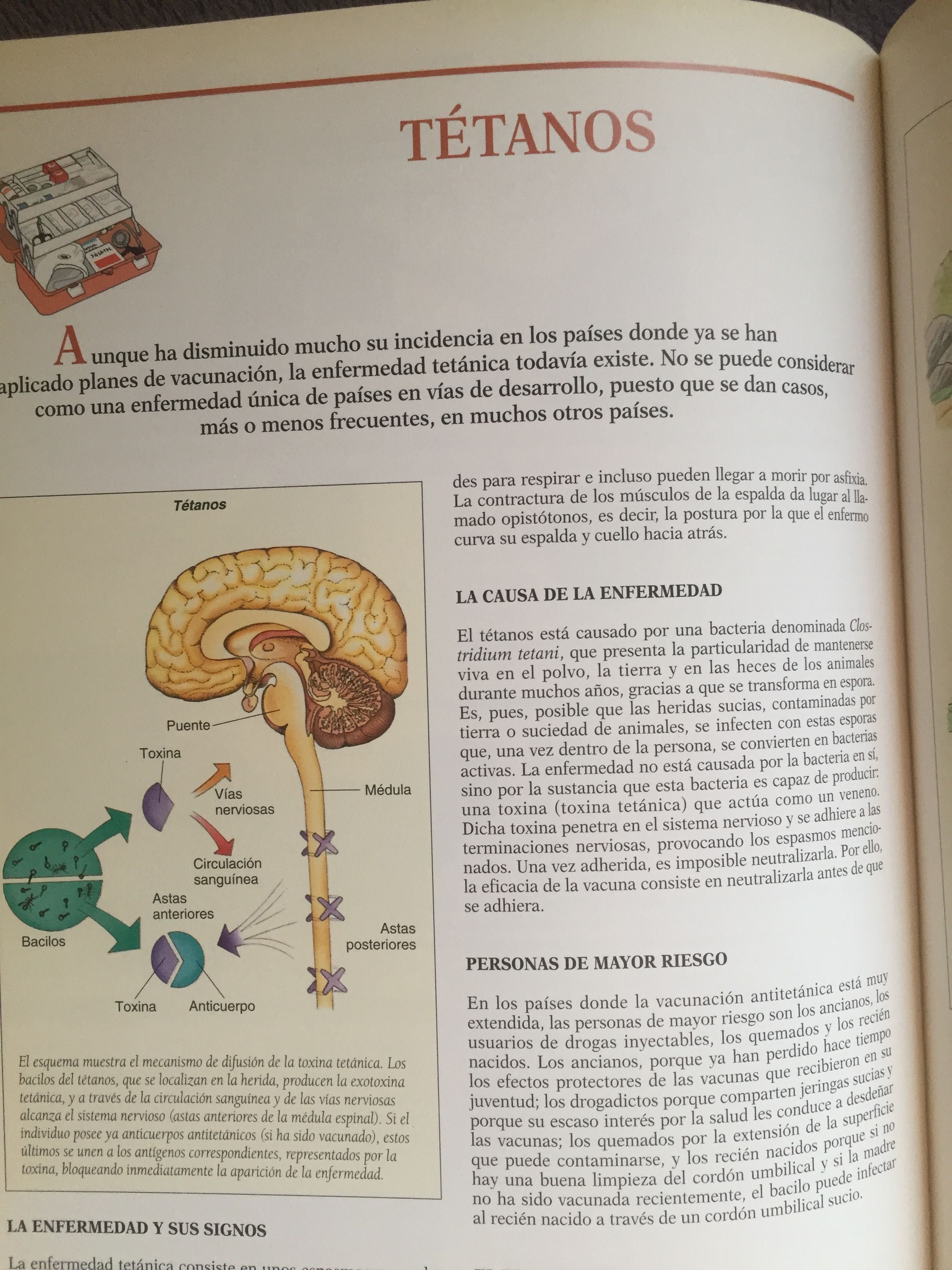 Livro “Primeros Auxilios”