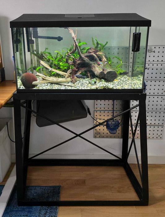 Akwarium Aquael 105 L z obsadą + stojak stalowy + kompletny osprzęt