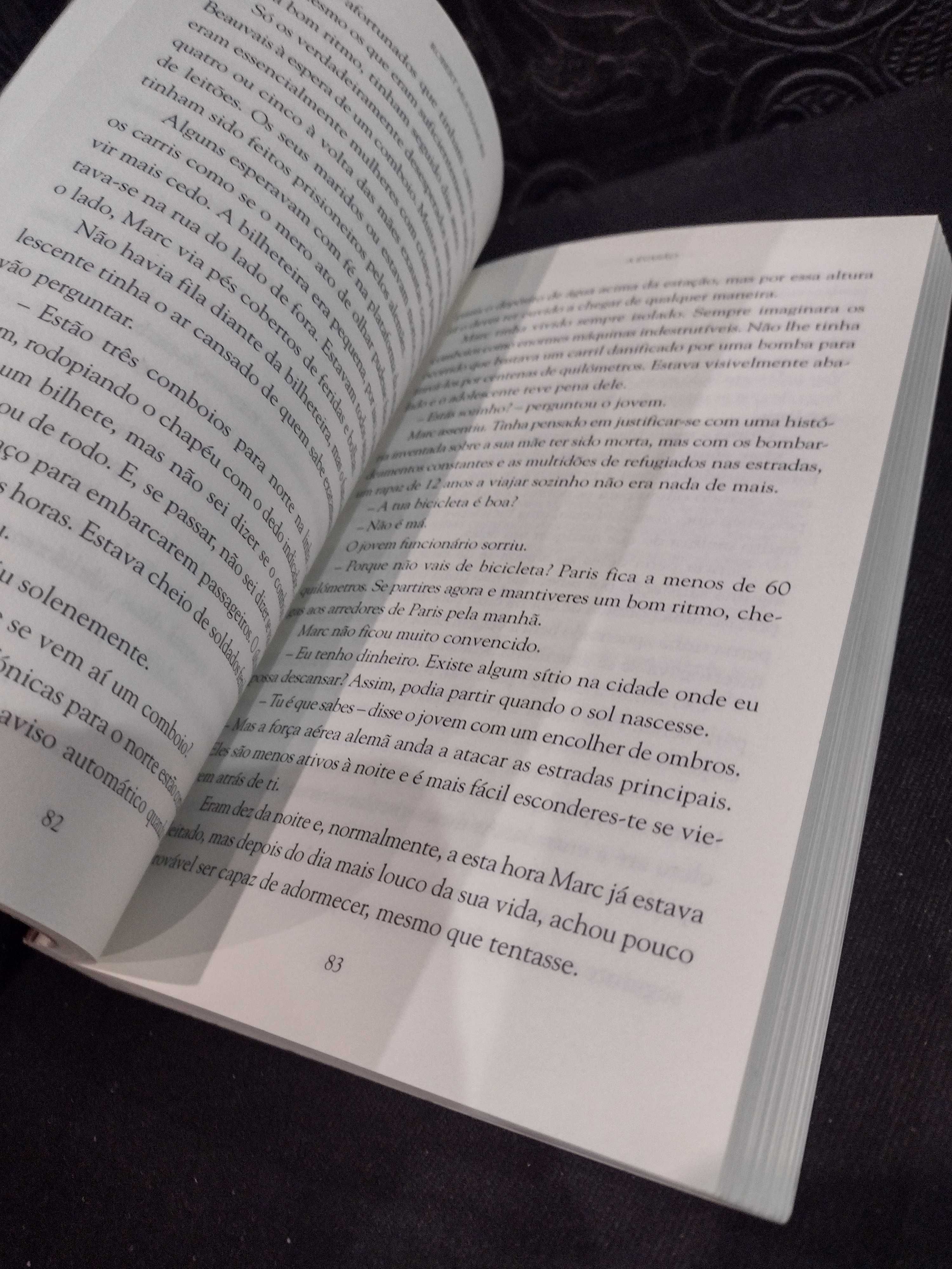A Evasão - Robert Muchamore