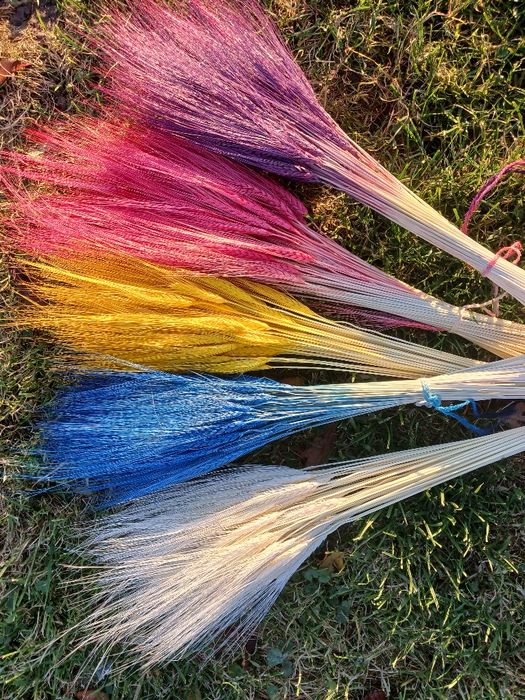 Пшениця Жизель — сухоцвіти для декору і флористики