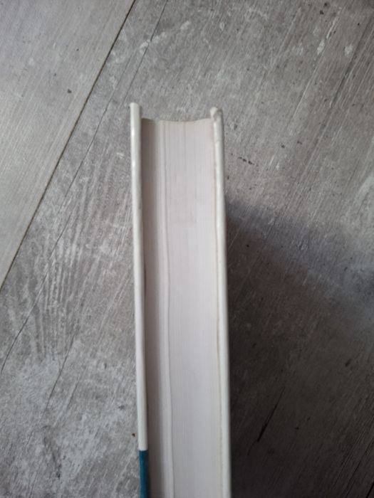 Słownik wyrazów obcych