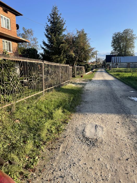 Wycinka oraz przycinka drzew i krzewów