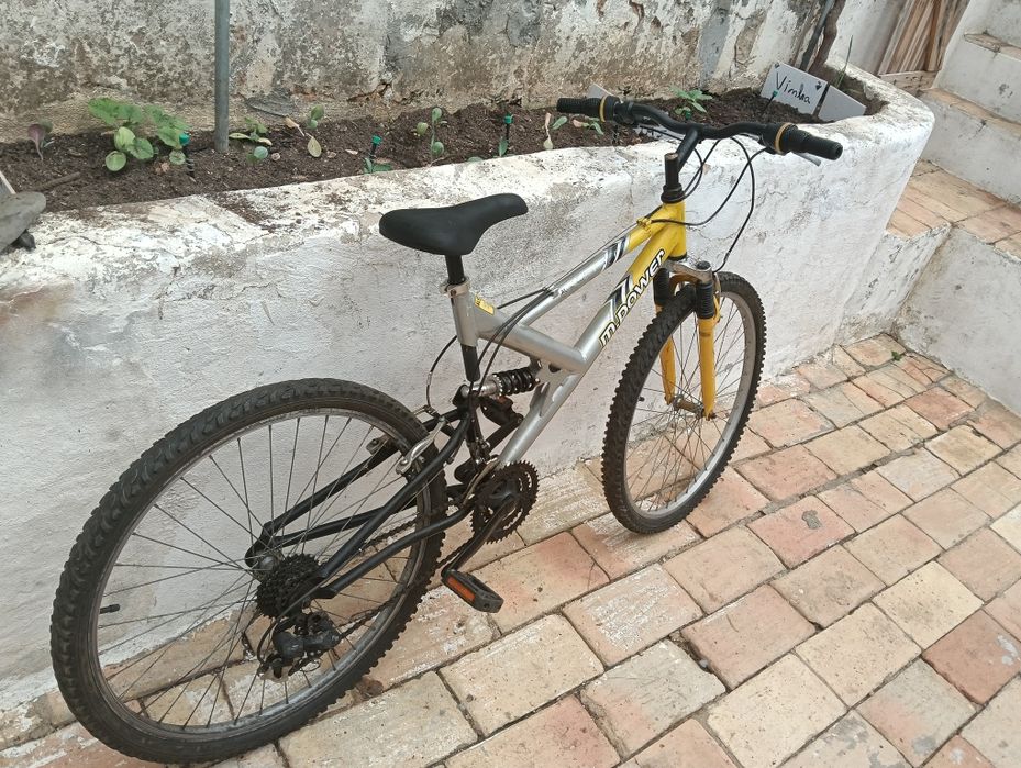 Bicicleta  grande