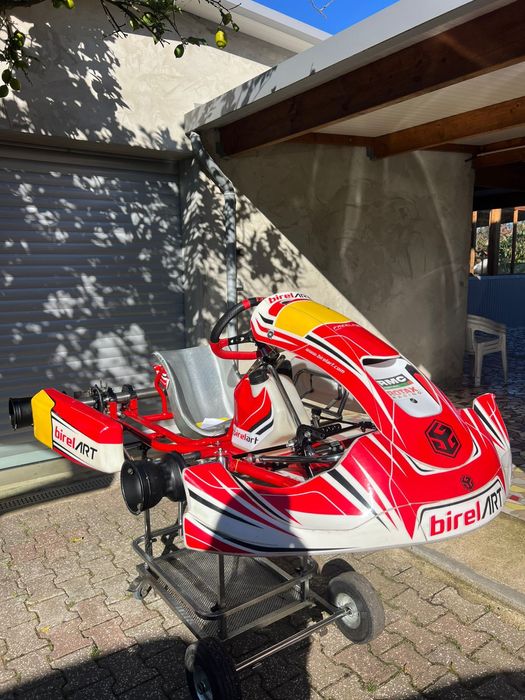 Kart Birel Art  chassi