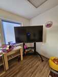 Monitor  Newline Mirka