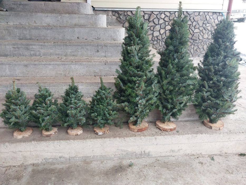Плетені ялинки опт