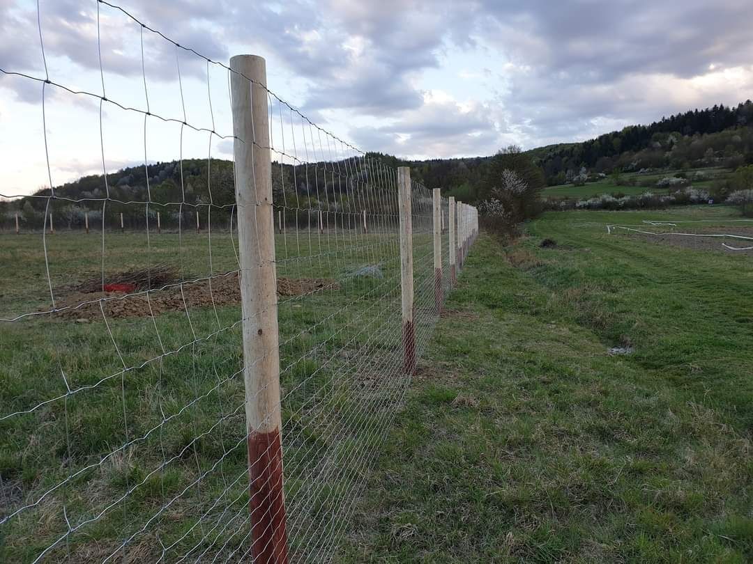 Ogrodzenia leśne - ogrodzenia tymczasowe