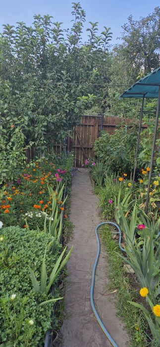 Продам шикарну дачу в якій можна жити поруч блакитні озера