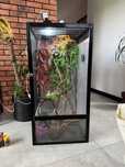 Terrarium dla kameleona – kompletne wyposażenie + dodatki!