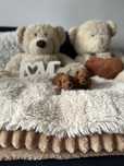 Szczeniak Maltipoo F1B z Rodzinnej Hodowli