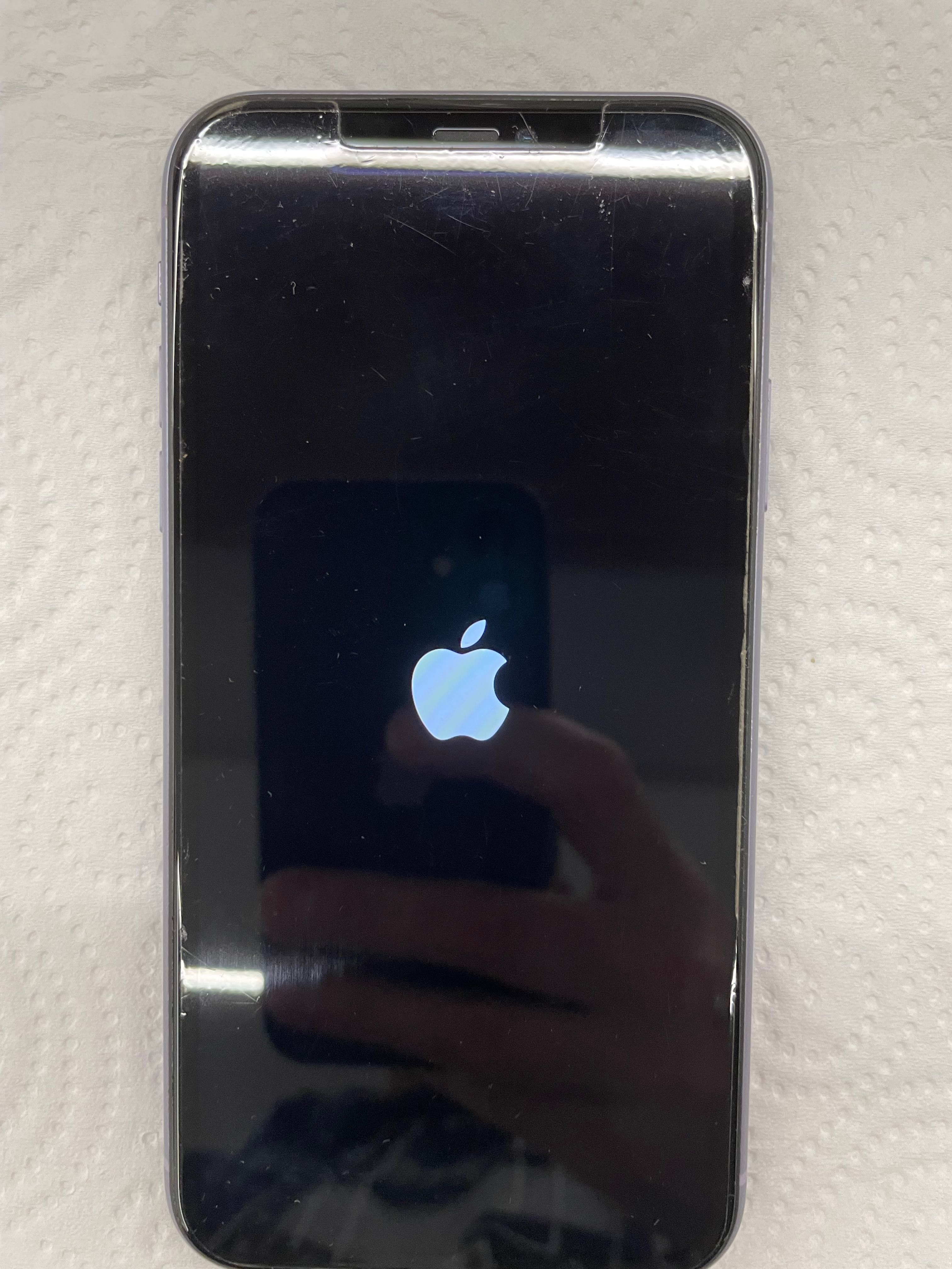 iPhone 11 imaculado