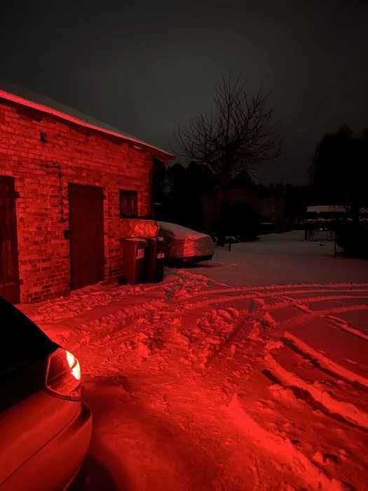 LED 7443 W21/5W T20 - bardzo jasne, CANBUS Tylne światła