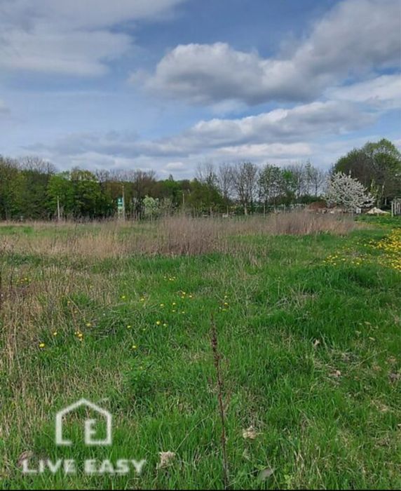 Продаж земельної ділянки в с. Велика Березовиця