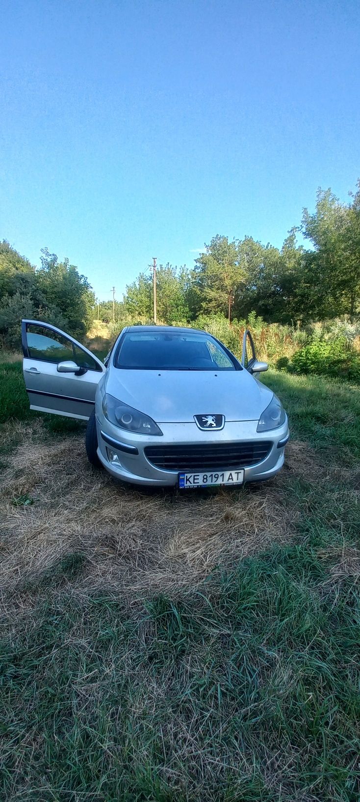 Продам свой пыжик