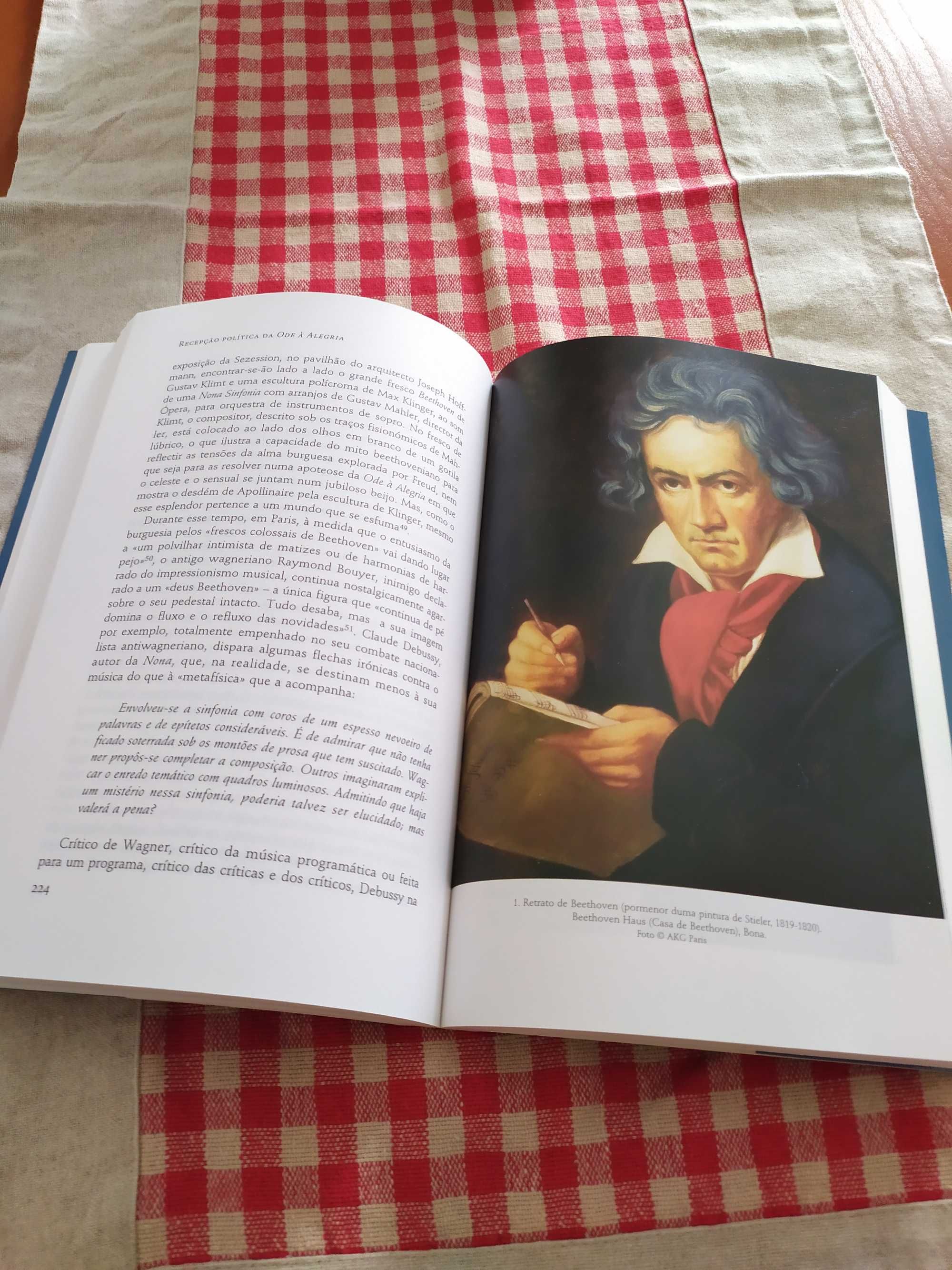 Livro - a nona sinfonia de Beethoven - uma história política