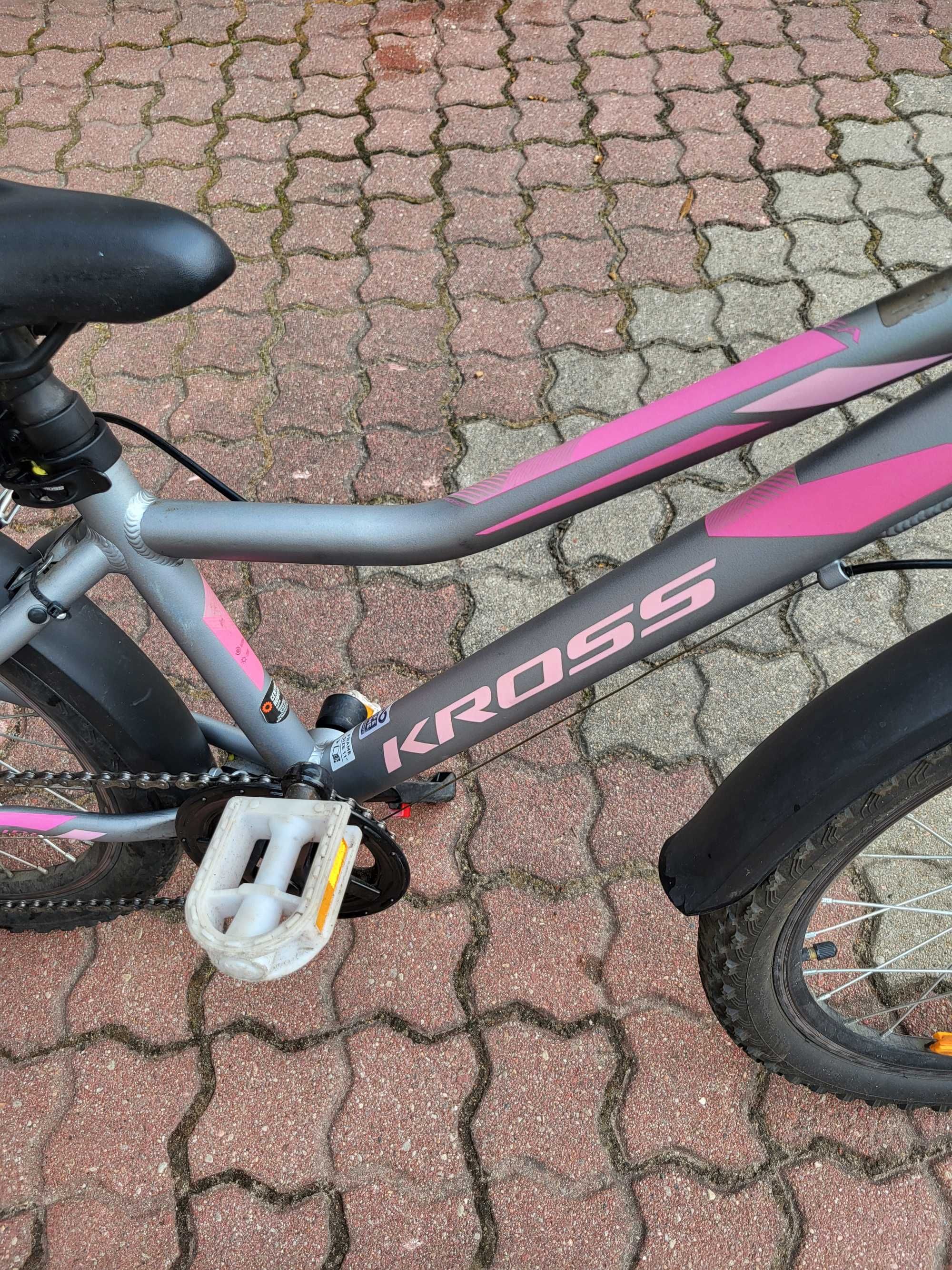 Rower Kross Lea Mini 1.0 srebrno-różowy mat