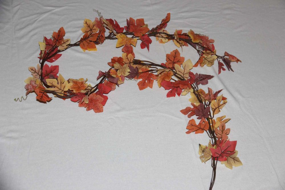 Gałazka jesiennego klonu