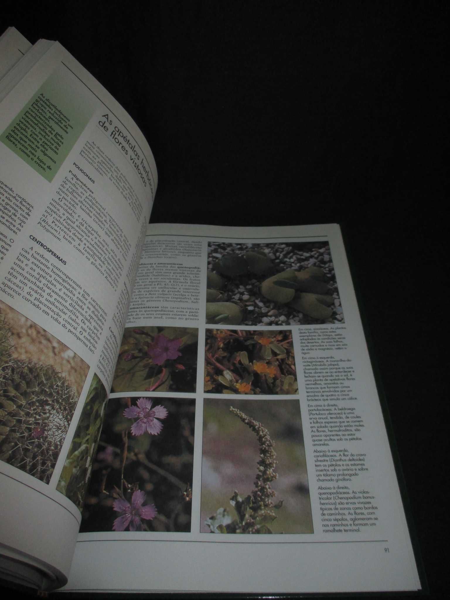 Livro Atlas Botânica O Mundo das Plantas Aupper