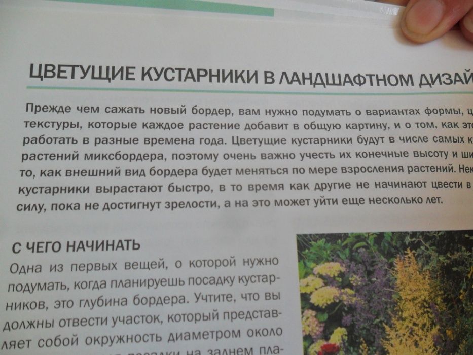 Справочник "Цветущие кустарники"