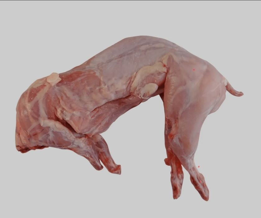 Tuszka królika z własnego chowu ekologicznefo