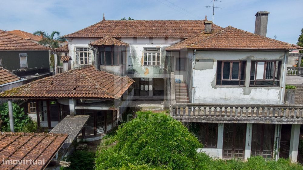 Quintinha de 16.000 m2 próxima do mercado de Lourosa